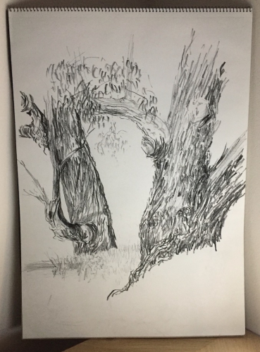 Guardians of the River, Wagga Wagga NSW